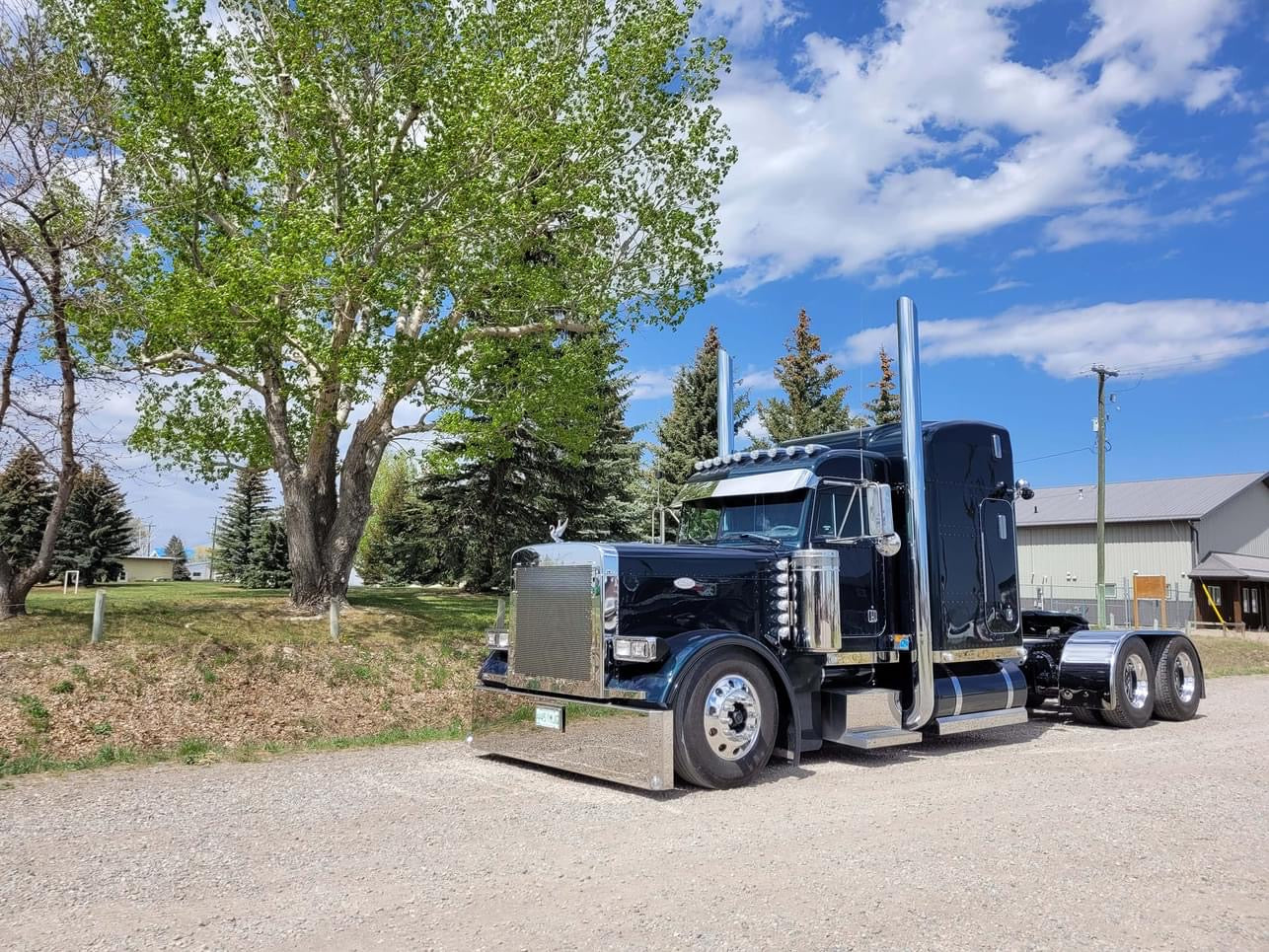 Peterbilt 10” bowtie for 3** series