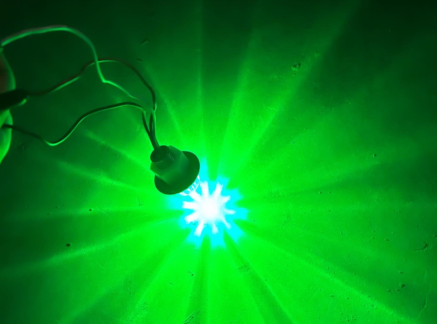 3/4” Mini watermelon lights