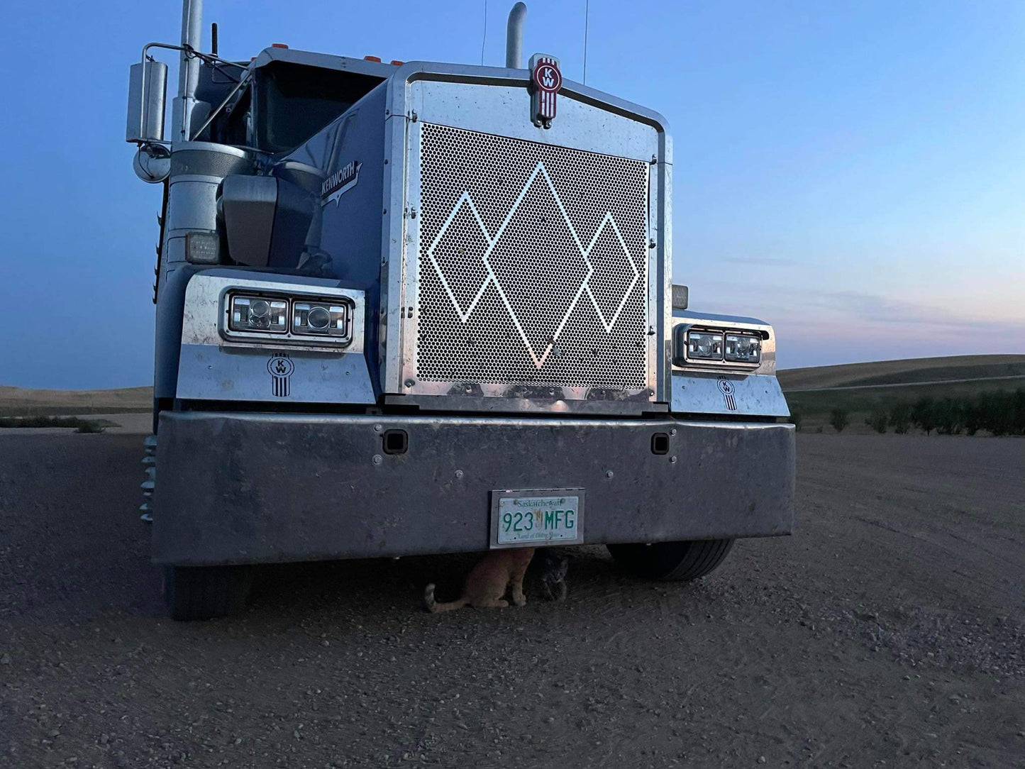 Kenworth W900L 3 diamond grill insert