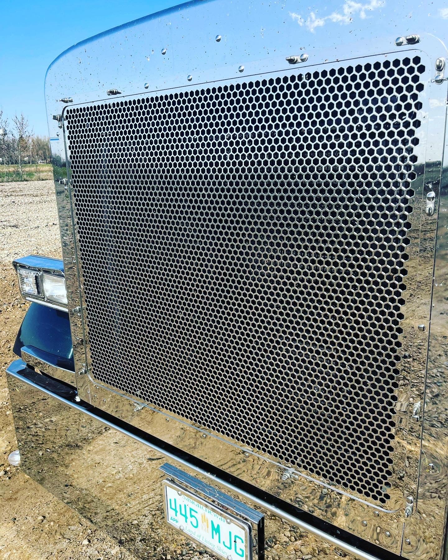 Peterbilt 379 Hex grill